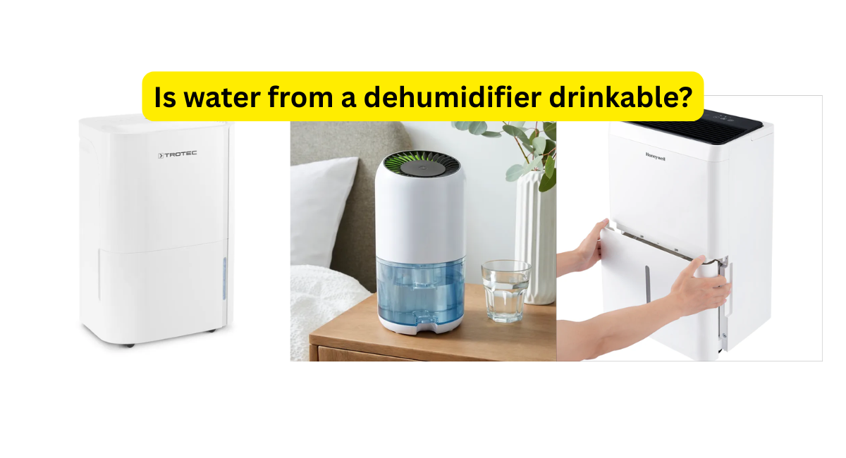 Can You Drink Dehumidifier Water? What the Science Says