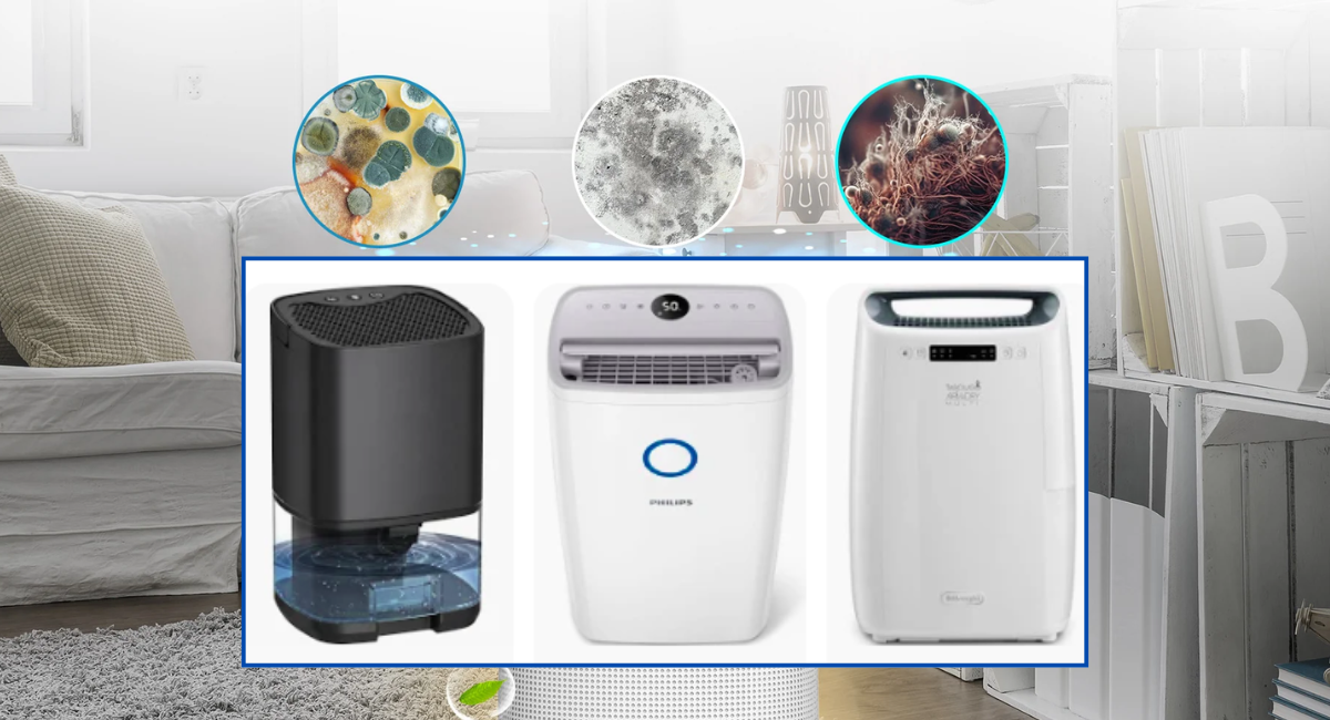 Dehumidifier : Every Type, Application and Buying Criterion (2026)