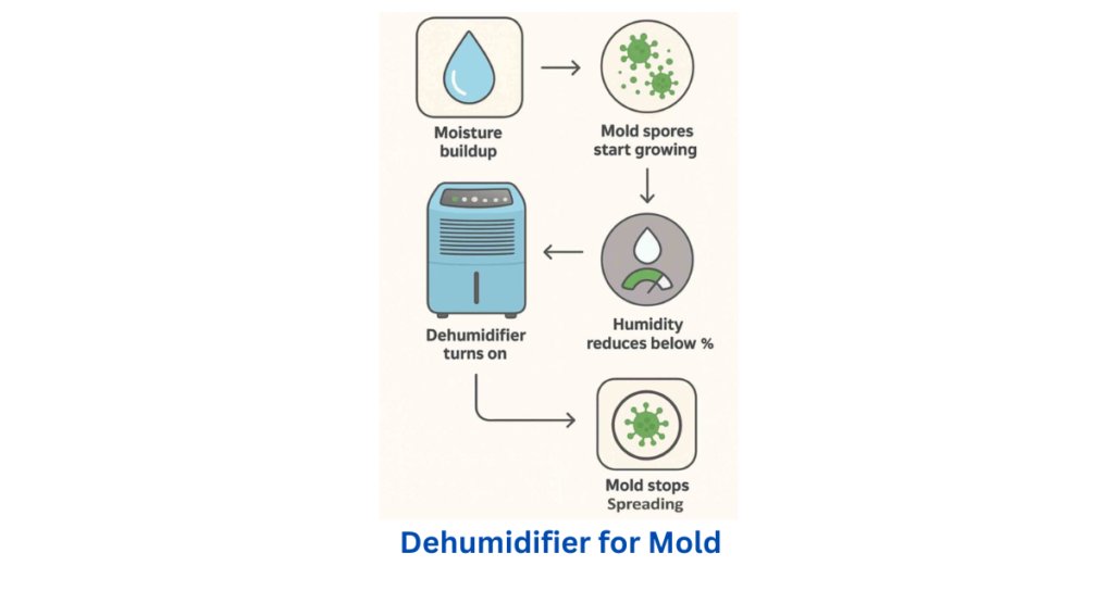 Dehumidifier for Mold