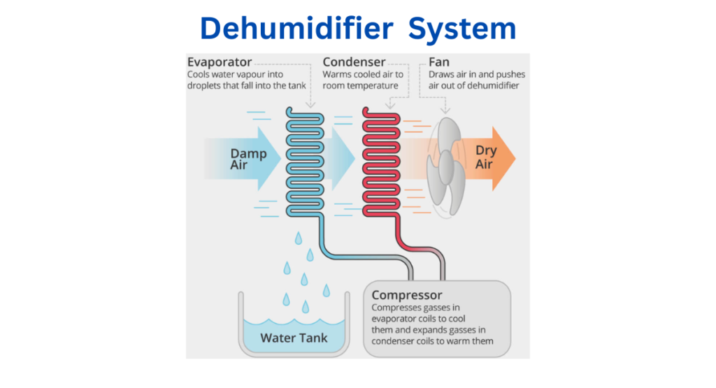Dehumidifier system