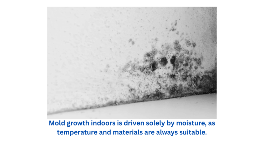 How Mold Actually Grows Indoors