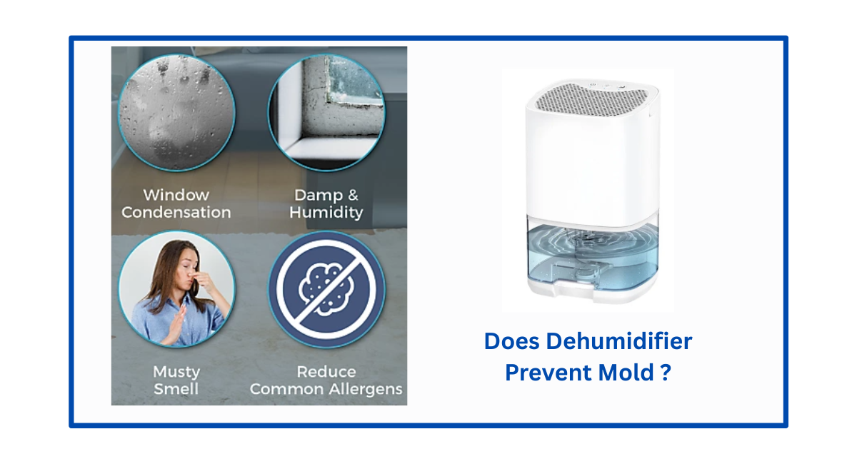 Does Dehumidifier Prevent Mold ?