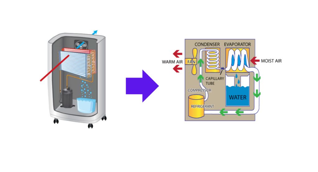 dehumidifier working process